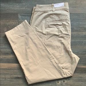Lane Bryant pants size 16
